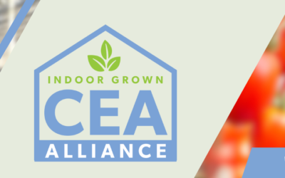 CEA Alliance to Host First Webinar of 2024 on Energy Management