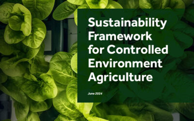 CEA Alliance Releases Sustainability Framework for Indoor Growers