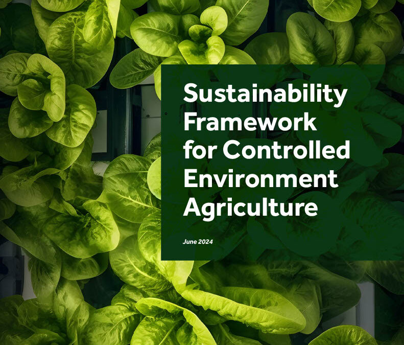 CEA Alliance Releases Sustainability Framework for Indoor Growers